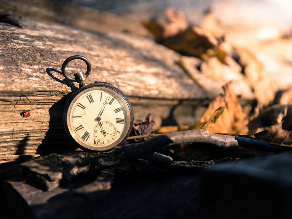 Saisonaler Glanz: Entdecken Sie den Edlen Schmuck, der Ihre Jahreszeiten erhellt - Juwelier Benjamin