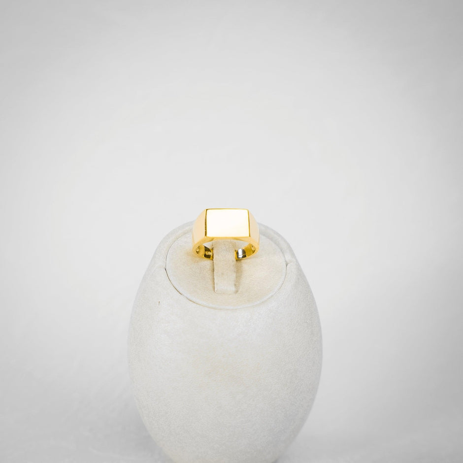 Siegelring - Juwelier BenjaminSiegelringSchmuck